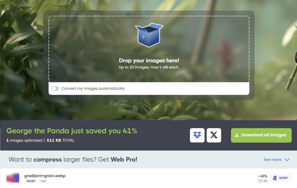 TinyPNG Image Optimization